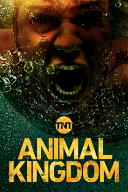 Vương quốc động vật (Phần 3) | Animal Kingdom (Season 3) (2018) Vietsub