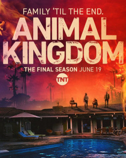Vương quốc động vật (Phần 6) | Animal Kingdom (Season 6) (2022) Vietsub